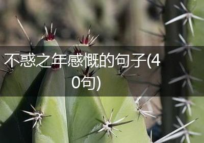 不惑之年感慨的句子(40句)