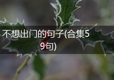 不想出门的句子(合集59句)
