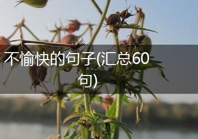 不愉快的句子(汇总60句)