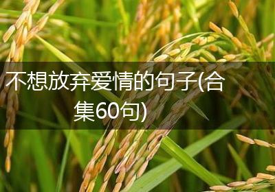 不想放弃爱情的句子(合集60句)