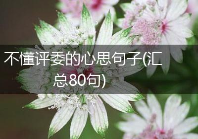不懂评委的心思句子(汇总80句)