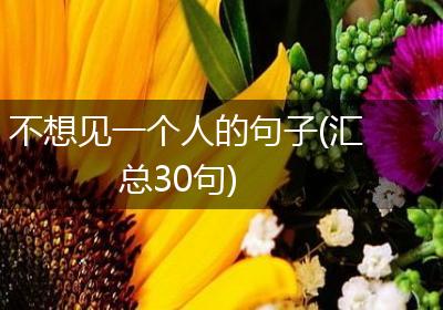 不想见一个人的句子(汇总30句)