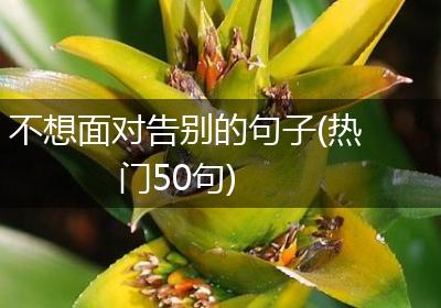 不想面对告别的句子(热门50句)