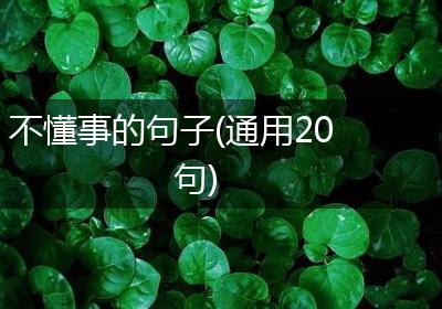 不懂事的句子(通用20句)