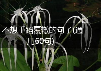 不想重蹈覆辙的句子(通用60句)