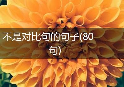 不是对比句的句子(80句)