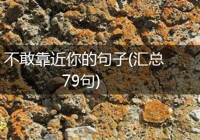 不敢靠近你的句子(汇总79句)