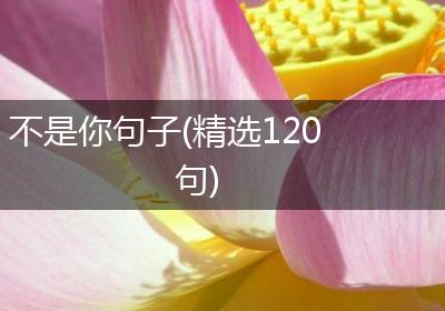 不是你句子(精选120句)