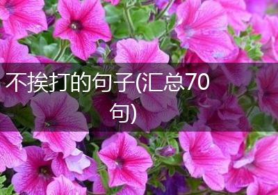 不挨打的句子(汇总70句)