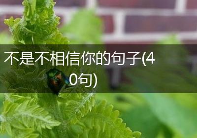 不是不相信你的句子(40句)