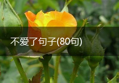 不爱了句子(80句)
