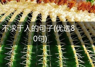 不求于人的句子(优选80句)