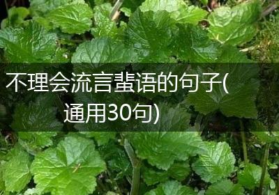 不理会流言蜚语的句子(通用30句)