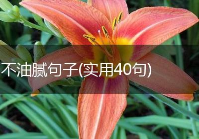 不油腻句子(实用40句)