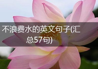 不浪费水的英文句子(汇总57句)