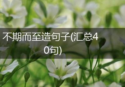 不期而至造句子(汇总40句)