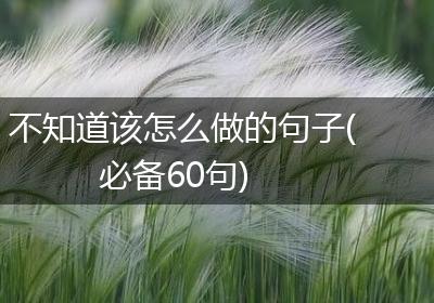 不知道该怎么做的句子(必备60句)