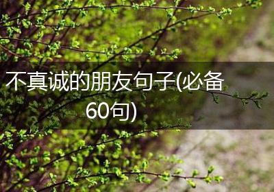 不真诚的朋友句子(必备60句)