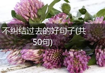 不纠结过去的好句子(共50句)