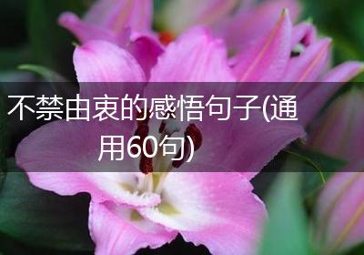 不禁由衷的感悟句子(通用60句)