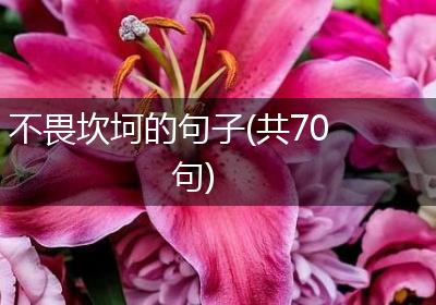 不畏坎坷的句子(共70句)
