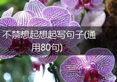 不禁想起想起写句子(通用80句)