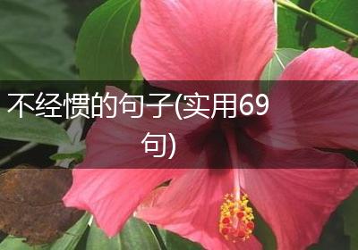 不经惯的句子(实用69句)
