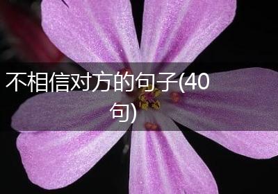 不相信对方的句子(40句)
