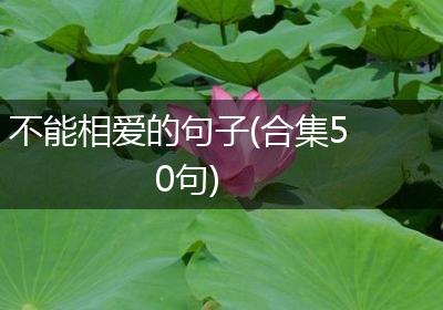 不能相爱的句子(合集50句)
