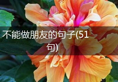 不能做朋友的句子(51句)