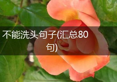 不能洗头句子(汇总80句)