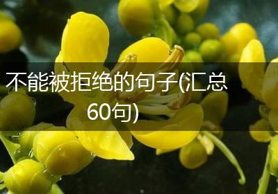 不能被拒绝的句子(汇总60句)