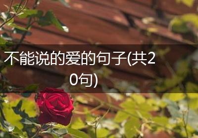 不能说的爱的句子(共20句)