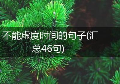 不能虚度时间的句子(汇总46句)
