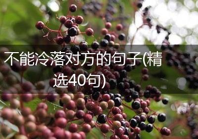 不能冷落对方的句子(精选40句)