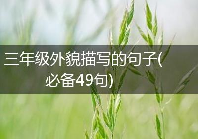 三年级外貌描写的句子(必备49句)