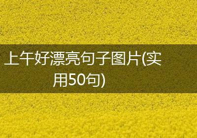 上午好漂亮句子图片(实用50句)