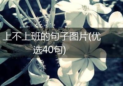 上不上班的句子图片(优选40句)