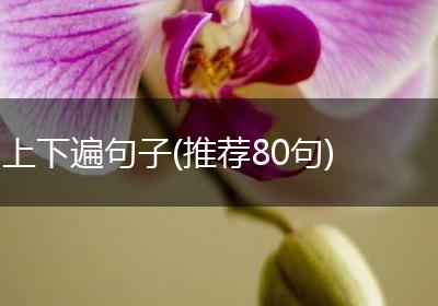 上下遍句子(推荐80句)