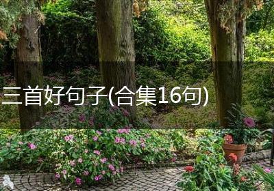 三首好句子(合集16句)
