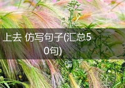 上去 仿写句子(汇总50句)