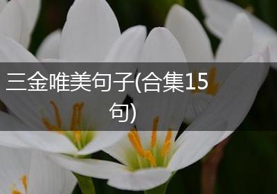 三金唯美句子(合集15句)