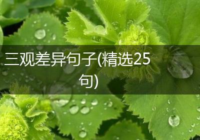 三观差异句子(精选25句)