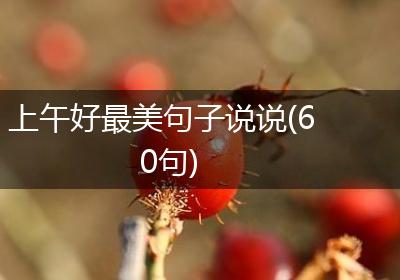 上午好最美句子说说(60句)