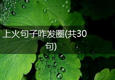 上火句子咋发圈(共30句)