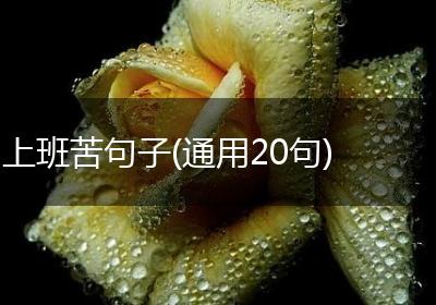 上班苦句子(通用20句)