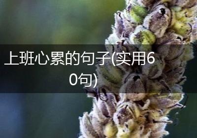 上班心累的句子(实用60句)