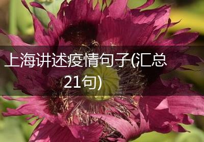 上海讲述疫情句子(汇总21句)