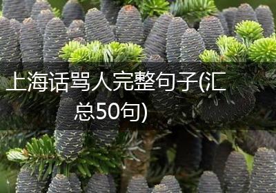 上海话骂人完整句子(汇总50句)