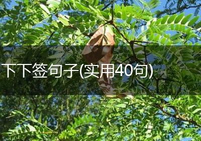 下下签句子(实用40句)